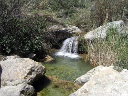 Villa Cerro De Carmona S/n (la Molineta)