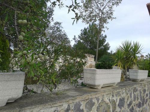 Villa Cerro De Carmona S/n (la Molineta)