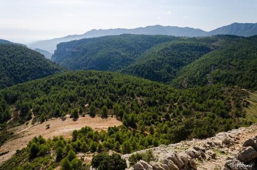 Villa Cerro De Carmona S/n (la Molineta)