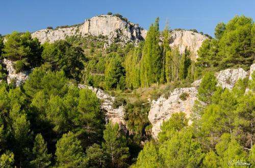 Villa Cerro De Carmona S/n (la Molineta)