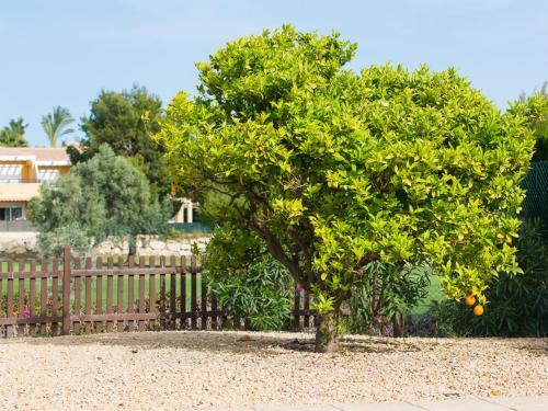 Bonalba Golf Villa