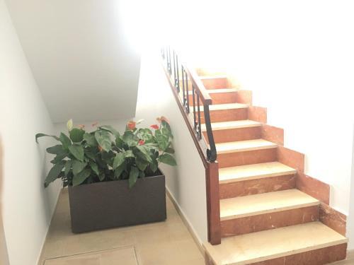 Apartamento Morasol Nerja