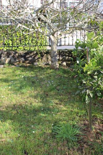 Apartamento Neckar