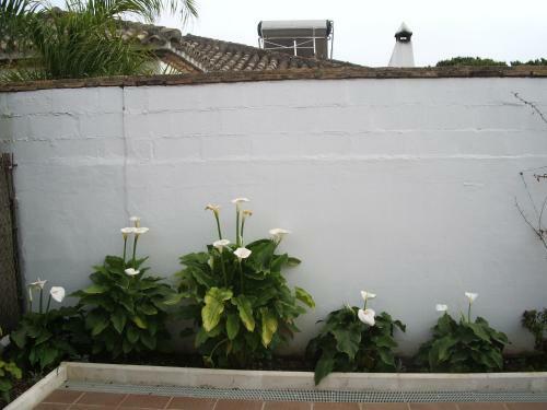 Apartamento De Tres Dormitorios En La Barrosa