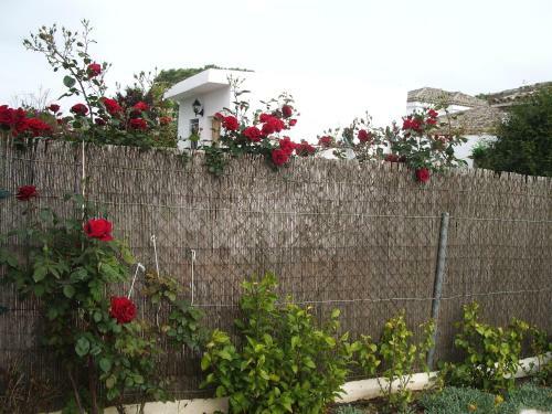 Apartamento De Tres Dormitorios En La Barrosa