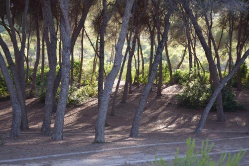 Casa Con Piscina Privada En Montemar de Dehesa de Campoamor Mm 024