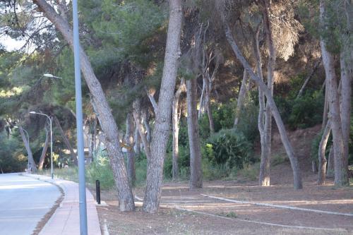 Casa Con Piscina Privada En Montemar de Dehesa de Campoamor Mm 024