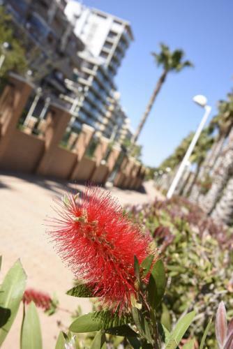 Oropesa Apartment