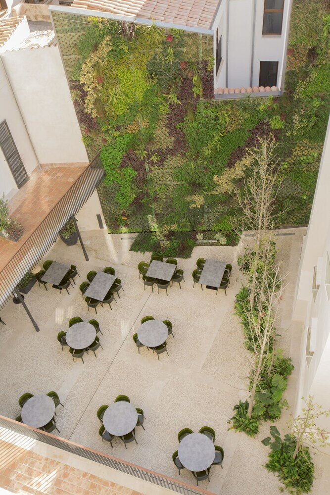 Hotel Icon Roset� By Petit Palace
