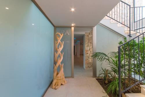 Villa Palma - 246211