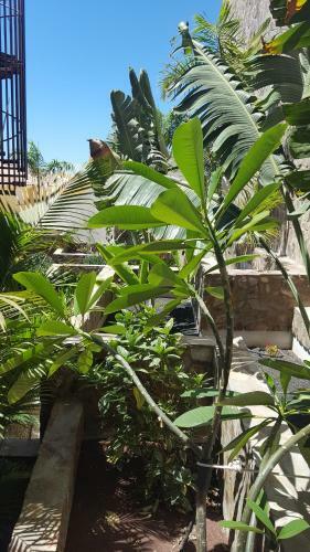 Apartamento Residencial Ventura