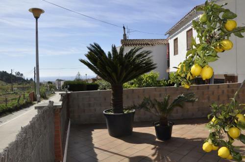Casa Maniu