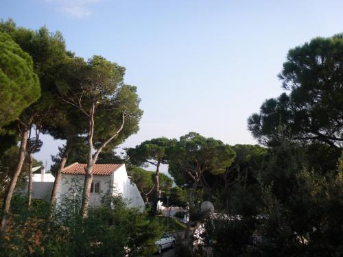 Apartamento Los Pinos