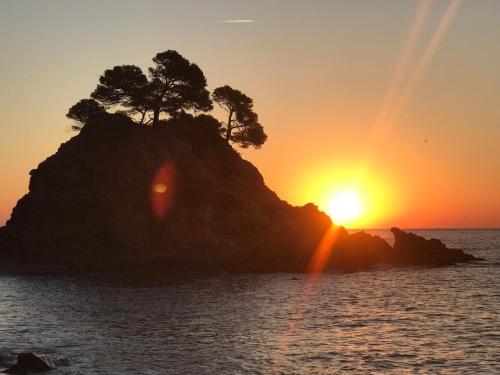 Apartamento Apto Belinda En La Playa de Platja D�aro