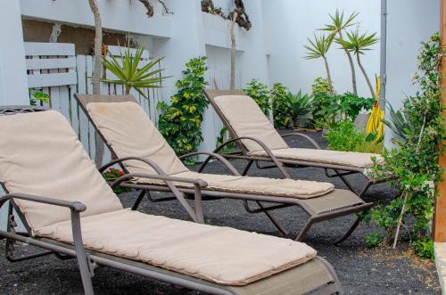 Apartamento Lizard Complex