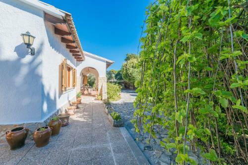 Villa Beluga