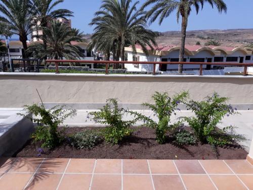 Apartamento Playa Y M�s Bahia Feliz