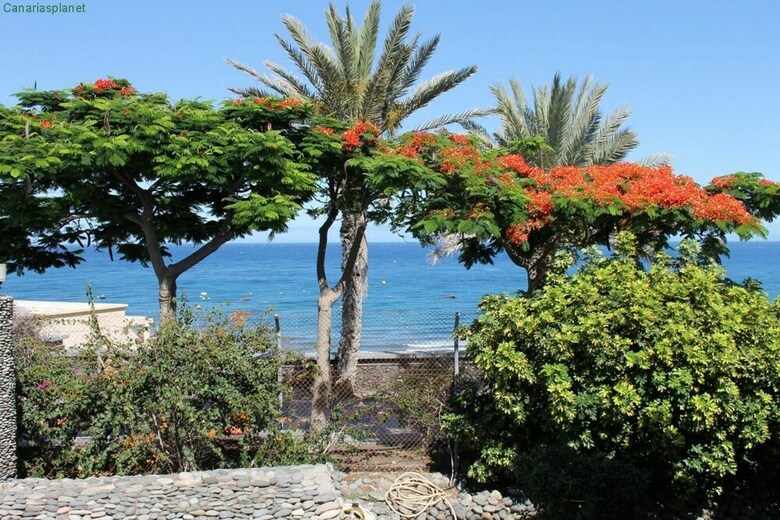 Apartamento Aida