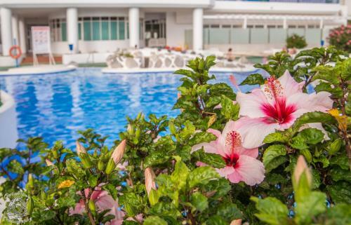 Cozy Apartment In Playa Paraiso Pp/21