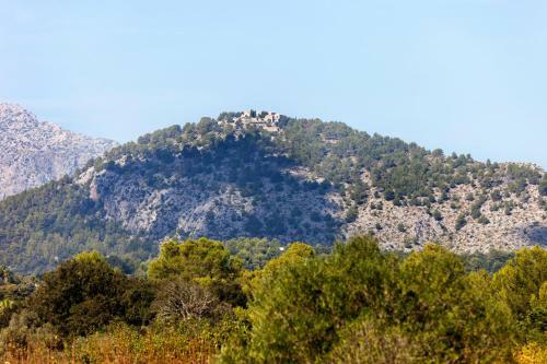 Pollenca Villa Sleeps 4 Pool Wifi