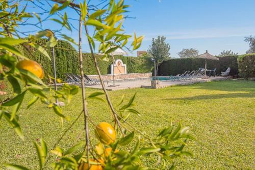 Pollenca Villa Sleeps 8 Pool Wifi