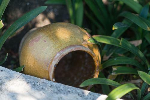 Finca Coster