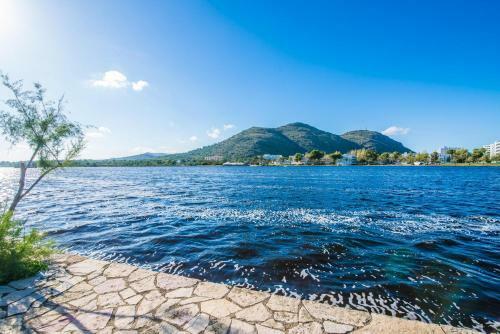Lago Miguel Id:53233