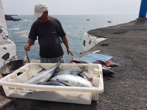 Apartamento Tuna