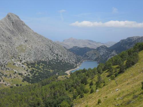 Bed & Breakfast Hostal Villa Primavera