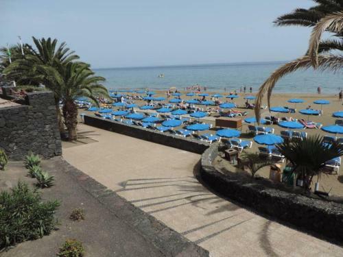 Apartamento Blue Turtle