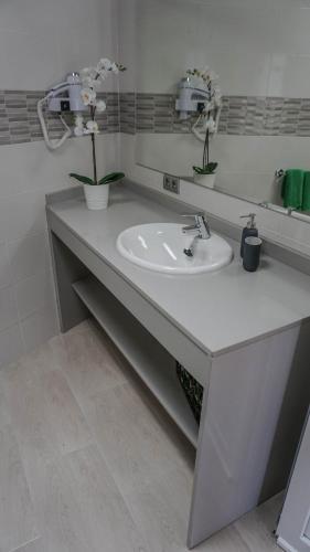 Apartment Old Town Reina Sofia 1