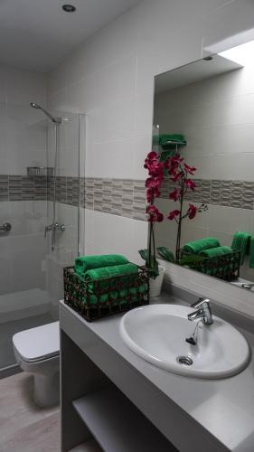 Apartment Old Town Reina Sofia 4