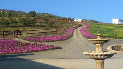 Agroturismo Biznaga