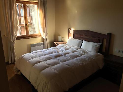 Apartamento Puigcerda II