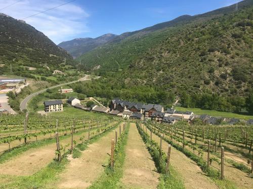 Apartamento La Serenidad - Rialp