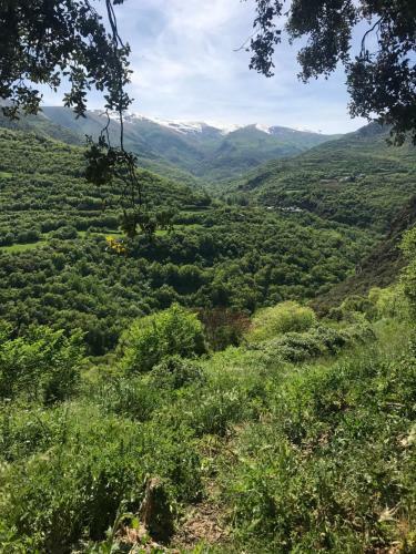 Apartamento La Serenidad - Rialp