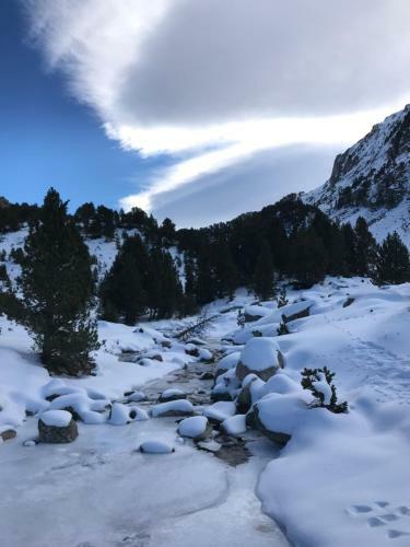 Apartamento La Serenidad - Rialp