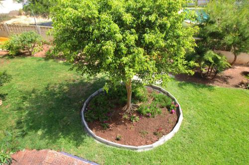 Apartamento Urba-av Mediterraneo - Roquetas De Mar