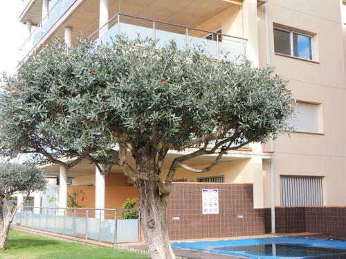 Apartamento Capmestral2 2b