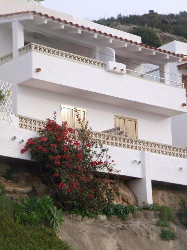 Ibiza 27