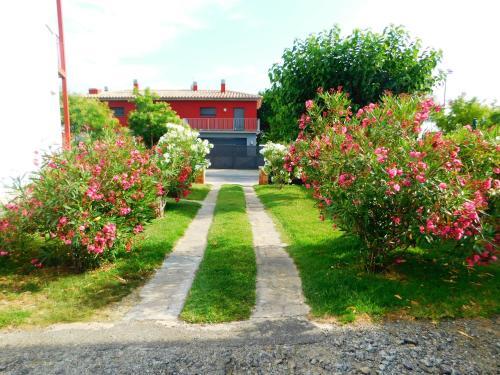 Apartamento Mas Oliva