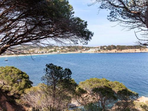 Apartment Vall D'aro