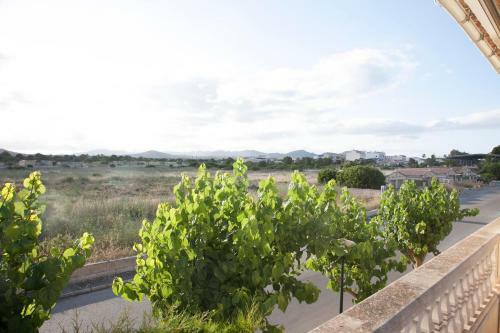 Cala Morlanda Beach House