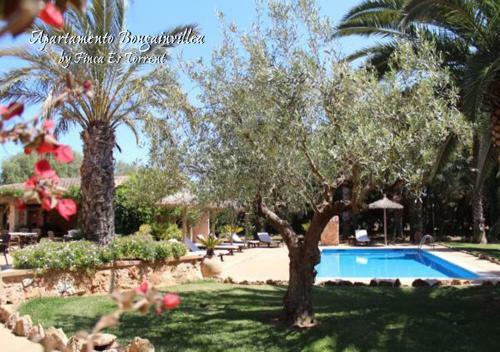Apartment Bougaivillea By Finca Es Torrent