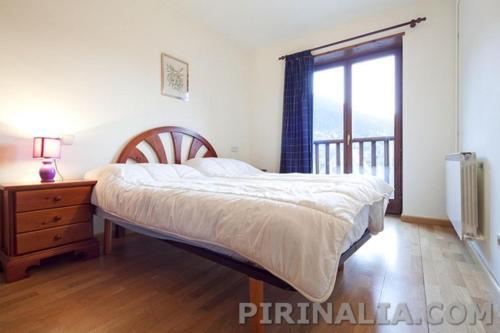 Apartamentos Salardu V