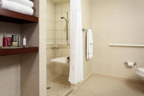 Hotel Tampa Airport Marriott