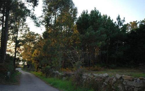 Holiday Home Lugar De Cacheiras