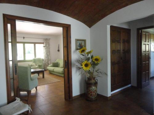 Villa Palenque