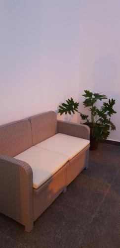 Hostal Suites Dornajos4
