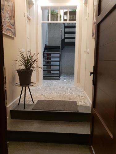 Hostal Suites Dornajos4